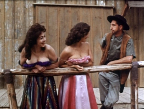 Wild Gals of the Naked West