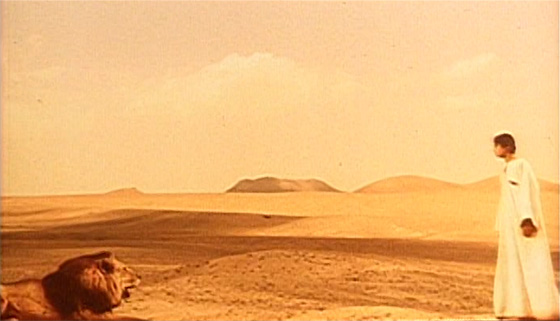 Arabian Nights