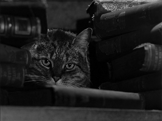 The Shadow of the Cat (1961)