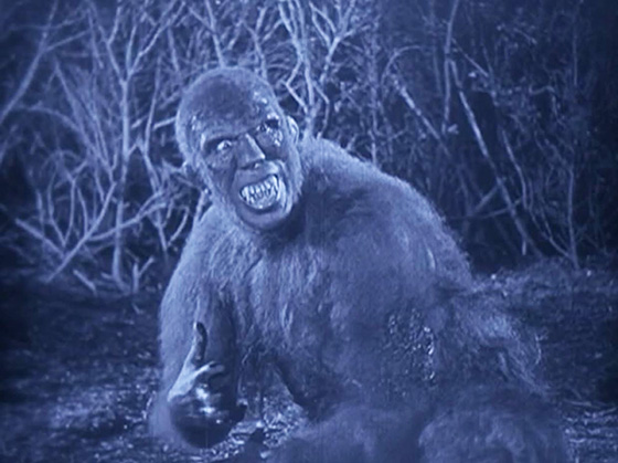 A sinister ape-man is shot in the arm by the expedition.