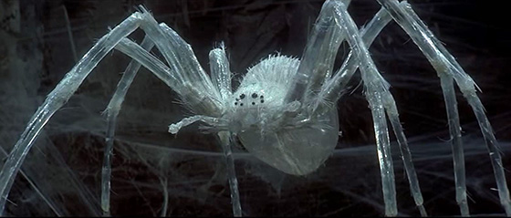 The Crystal Spider, guarding the Widow of the Web.