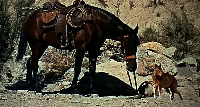 "The Valley of Gwangi": Horse, meet Eohippus.