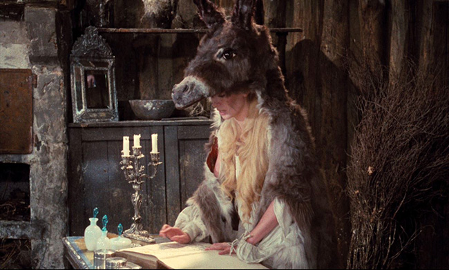 Catherine Deneuve as the princess in her donkey skin.