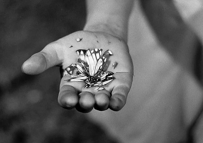 The Curse of the Cat People's idea of shock: a boy's careless destruction of a butterfly admired by young Amy.