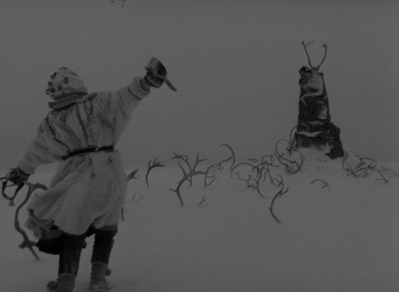 The White Reindeer (1952)